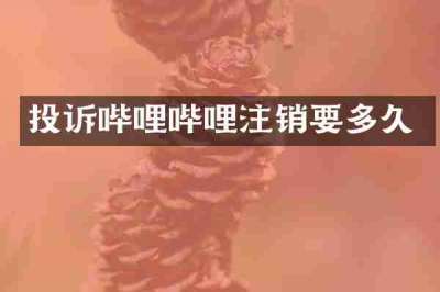 投诉哔哩哔哩注销要多久