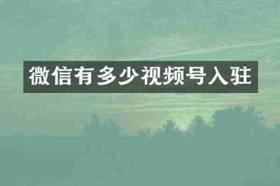 微信有多少视频号入驻