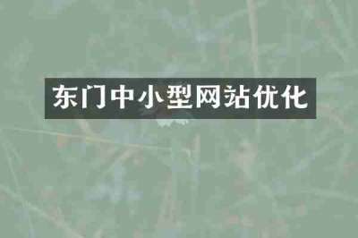 东门中小型网站优化
