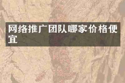 网络推广团队哪家价格便宜