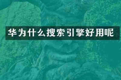 华为什么搜索引擎好用呢