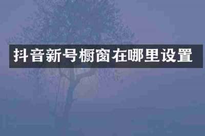 抖音新号橱窗在哪里设置