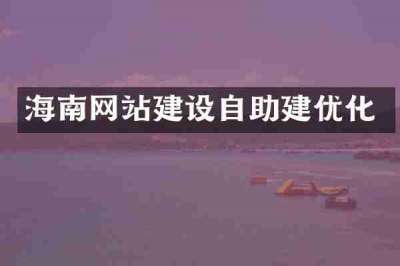 海南网站建设自助建优化