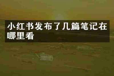 小红书发布了几篇笔记在哪里看