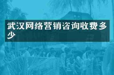武汉网络营销咨询收费多少