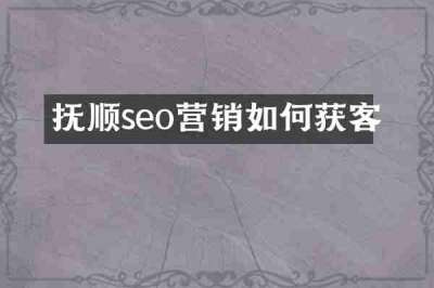 抚顺seo营销如何获客