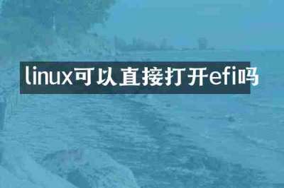 linux可以直接打开efi吗