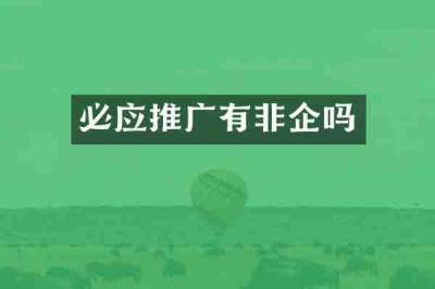 必应推广有非企吗
