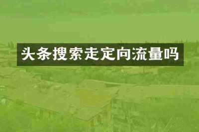 头条搜索走定向流量吗