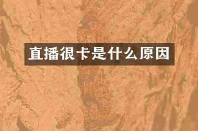 直播很卡是什么原因