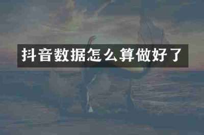 抖音数据怎么算做好了
