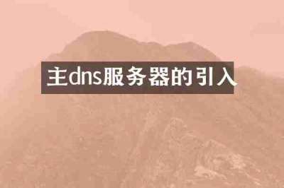 主dns服务器的引入