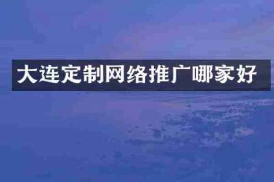 大连定制网络推广哪家好