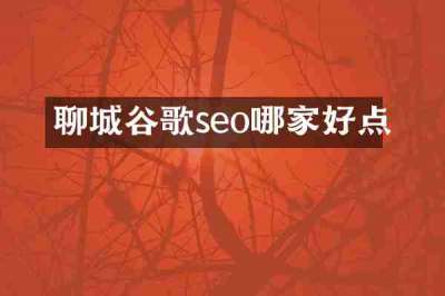 聊城谷歌seo哪家好点