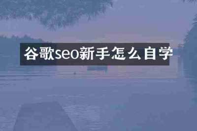 谷歌seo新手怎么自学