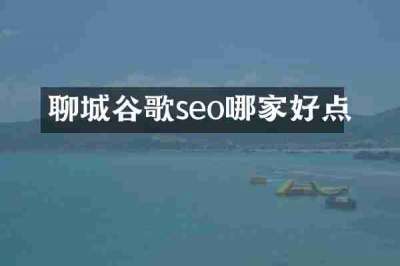 聊城谷歌seo哪家好点