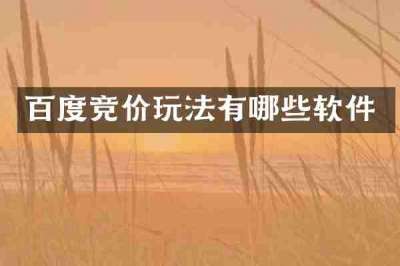 百度竞价玩法有哪些软件