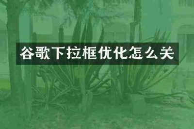 谷歌下拉框优化怎么关