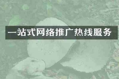 一站式网络推广热线服务