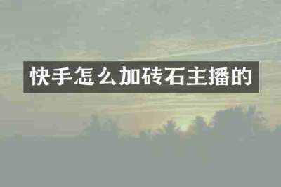 快手怎么加砖石主播的