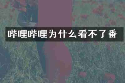 哔哩哔哩为什么看不了番