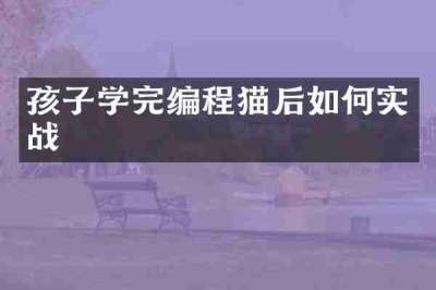 孩子学完编程猫后如何实战