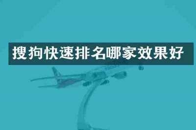 搜狗快速排名哪家效果好