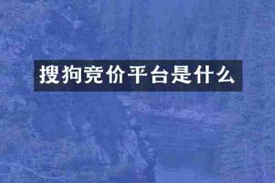 搜狗竞价平台是什么