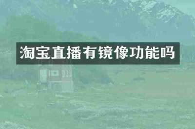 淘宝直播有镜像功能吗