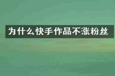 为什么快手作品不涨粉丝