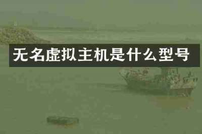 无名虚拟主机是什么型号