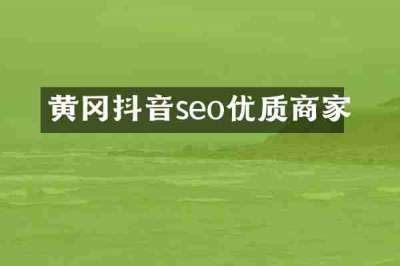 黄冈抖音seo优质商家