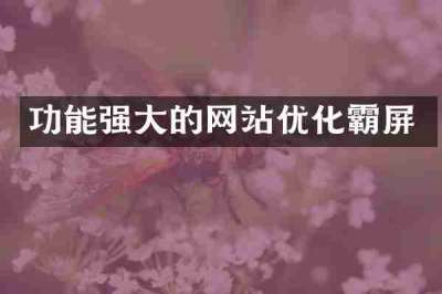 功能强大的网站优化霸屏