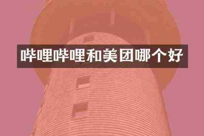 哔哩哔哩和美团哪个好