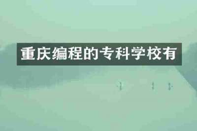 重庆编程的专科学校有