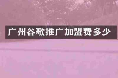 广州谷歌推广加盟费多少