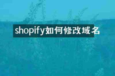 shopify如何修改域名
