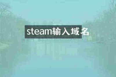 steam输入域名