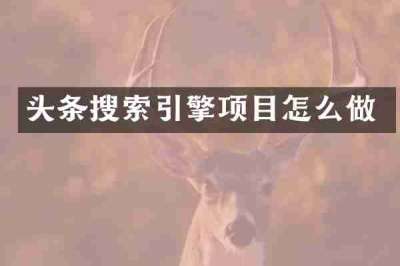 头条搜索引擎项目怎么做