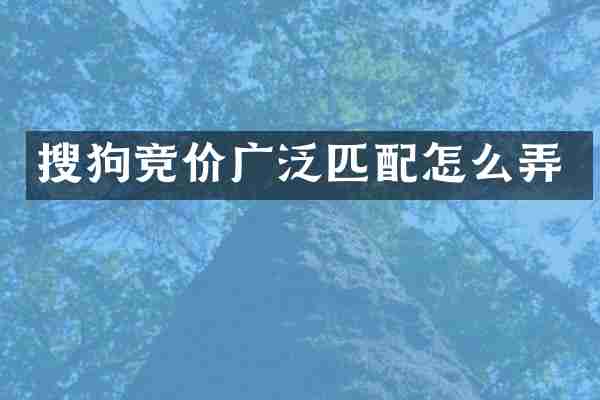 搜狗竞价广泛匹配怎么弄
