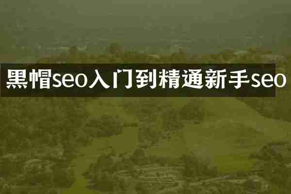 黑帽seo入门到精通新手seo