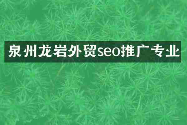 泉州龙岩外贸seo推广专业