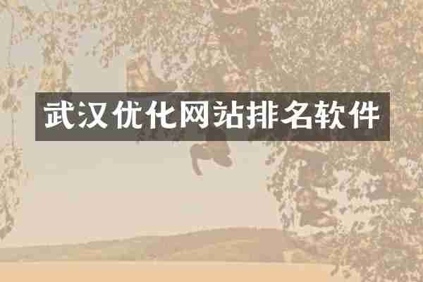 武汉优化网站排名软件