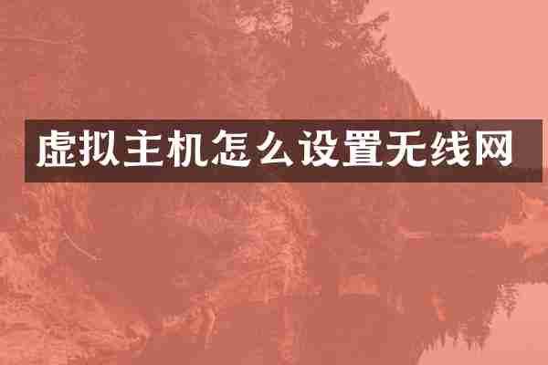 虚拟主机怎么设置无线网