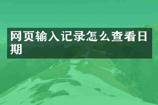 网页输入记录怎么查看日期