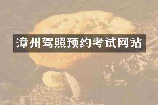 漳州驾照预约考试网站