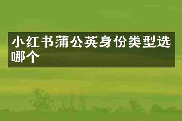 小红书蒲公英身份类型选哪个