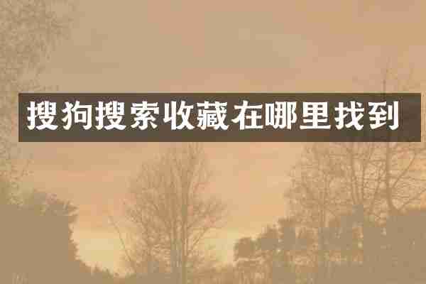 搜狗搜索收藏在哪里找到