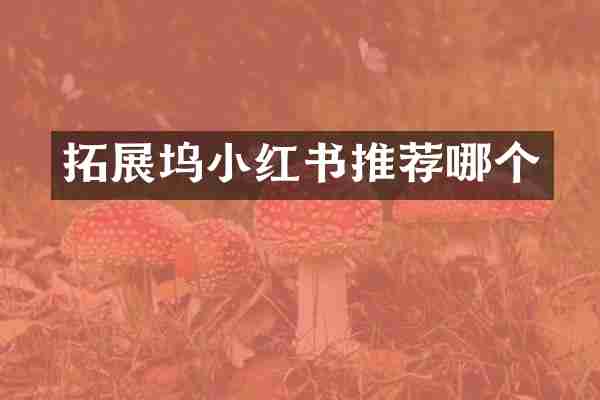 拓展坞小红书推荐哪个