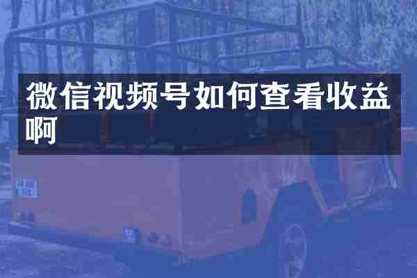 微信视频号如何查看收益啊